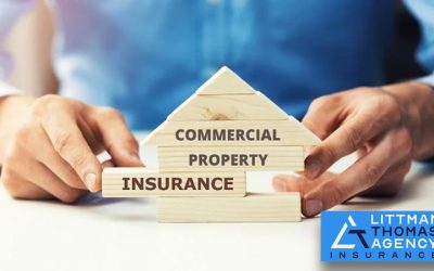 Why Choose Littman-Thomas Agency, Inc. for Your Commercial Insurance Coverage